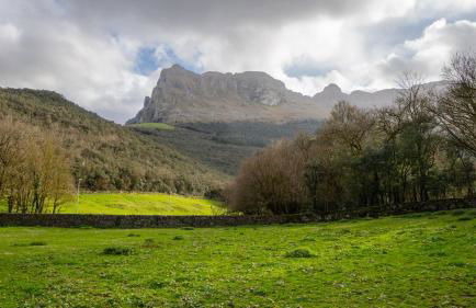 Apartamentos Iramar - Foto 17