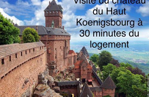 Studio tout confort, à 2 min de Colmar - Foto 16