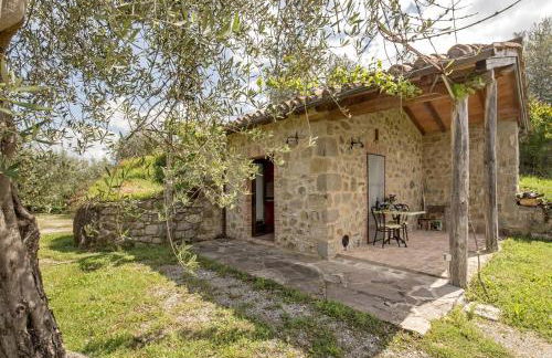 La casina degli olivi - Foto 2