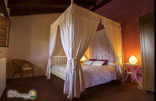 Masia los Toranes - Destino Starlight - Foto 21