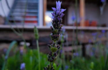 fuerte trece - Foto 52