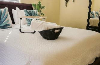 Palmera House in Tampa with Hot Tub 10 minutes from Airport & Busch Gardens - Foto 9