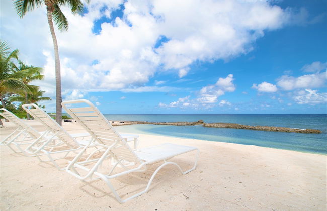 On The Bay - Foto 58