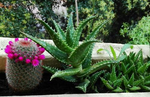 Appartamento Ottiolu Mare - Foto 7