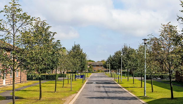 University Campus Park Wood - Foto 5, View