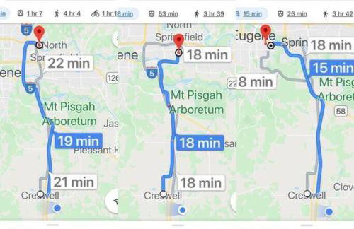 Adorable Home on the Park 10 Miles South of Eugene - Photo 18