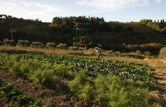 Boutique Hotel Villa Monty Banks - Foto 26