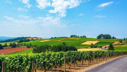 The Blanchard Guest Home - Foto 2