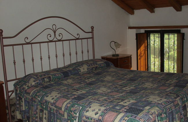 Codavolpe Giardino di Tea - Foto 6