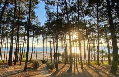 200 M Port de Cassy , studio cosy 3 pers - Foto 10