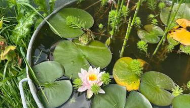 Jolie maison de campagne - La Ferme de Montigny, Orne - Foto 3