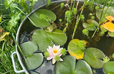 Jolie maison de campagne - La Ferme de Montigny, Orne - Foto 3
