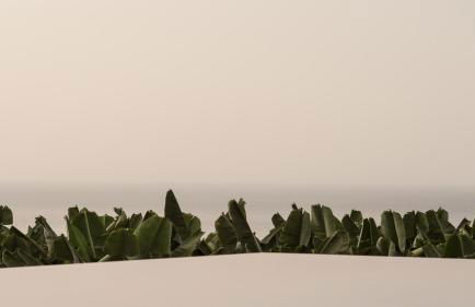 Hacienda Cuatro Ventanas - Foto 22