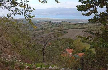 The Best Αγιου Χαραλαμπου - Foto 7