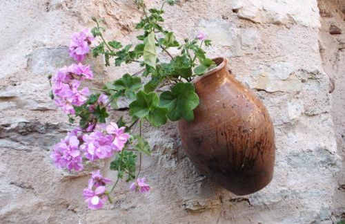 Alojamiento Rural Tres Palacios - Foto 22