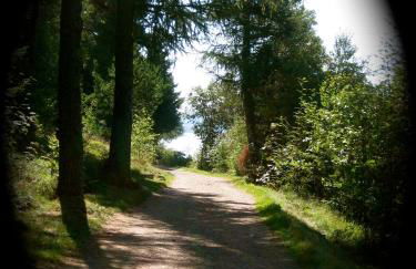 Ferienwohnung Endlich Ferien - Foto 44