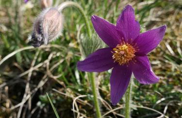 Appartment Schlossblick - Foto 19