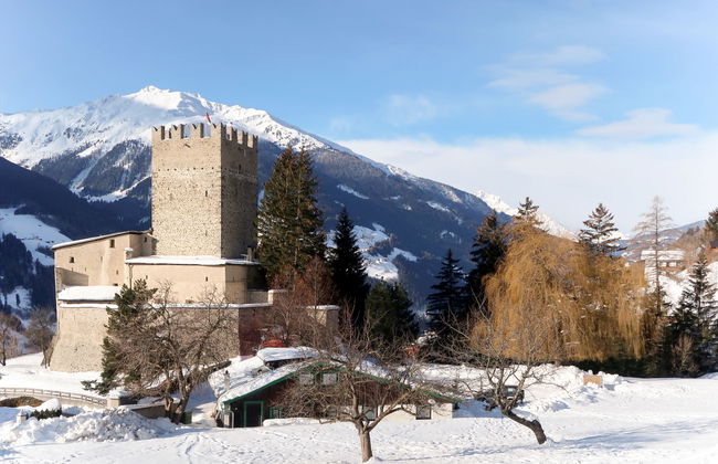 Burg Biedenegg, Heidenreich - Foto 28