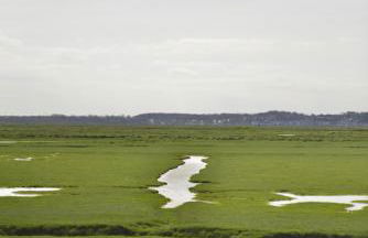 Le Cottage de la Baie - vue mer en Baie de Somme - Foto 31
