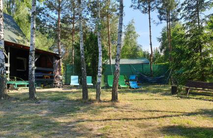 domki nad jeziorem, las, do 10 osób jezioro Wilczyńskie Budzisławskie - domek letniskowy osobno ogrodzony, ogrzewany mile widziane pieski, zwierzeta- wielkopolska, 62-550 Zygmuntowo gm Wilczyn - Photo 10