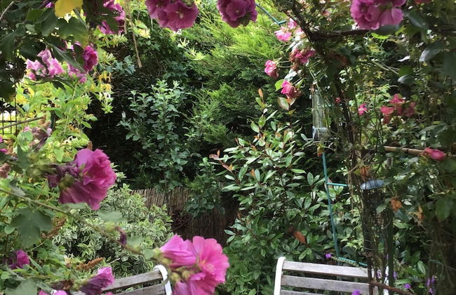 Cozy Nook Boutique Cottage - Foto 29