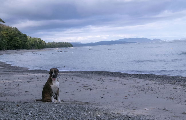 Villas Cabuya Beach & Forest - Foto 77