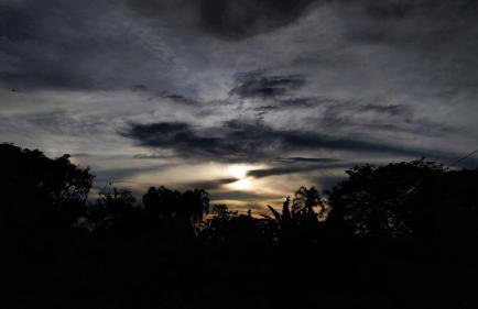 Refúgio Floresta day use - Foto 10