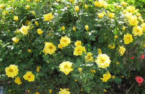 Le Due Sorelle - Photo 24