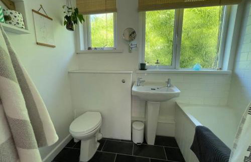 Rock Pipit, Moor and Sea Holidays, five minutes drive to the sea - Foto 11