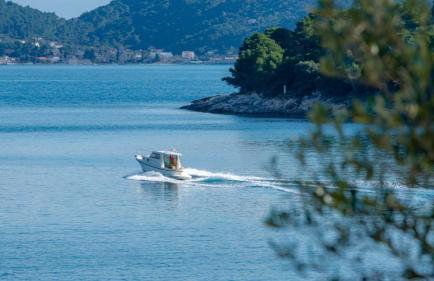 Villa Margarita Sipan by Villas Guide - Foto 45