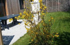 Gîte Noir Lapin - Photo 7