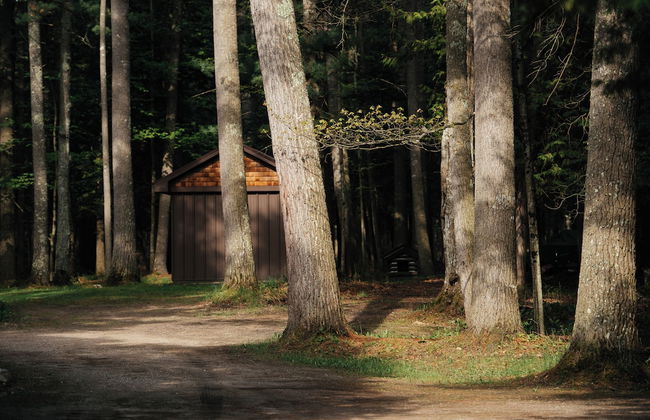 Nature's Beauty Loft Forks River Lodge - Foto 42