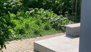 GMA Apartment B3-1 - Foto 2