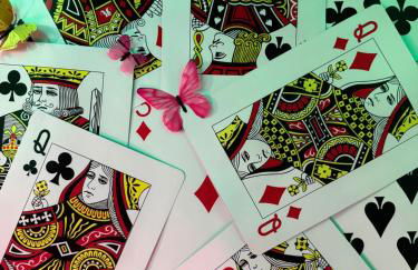 La Belle et le Nooki - Foto 49