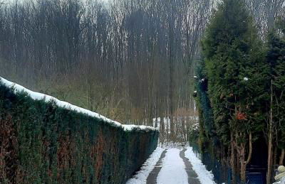 Neue Ferienwohnung direkt am Wald - Photo 41