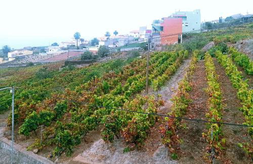 Live la Victoria Carril - Casa acogedora y familiar con terraza completa - Foto 60