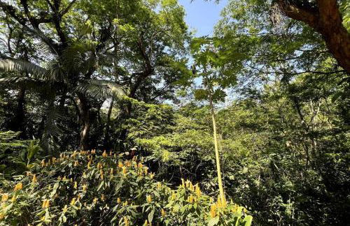 Casa na Floresta - 50 min do Rio - Foto 11