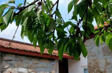 Pequena Casa rústica com piscina - Photo 49