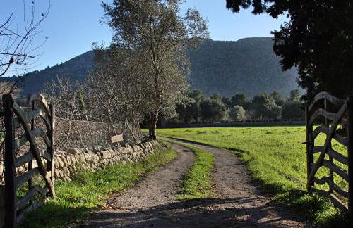 Holiday home Can Pontico - Photo 13