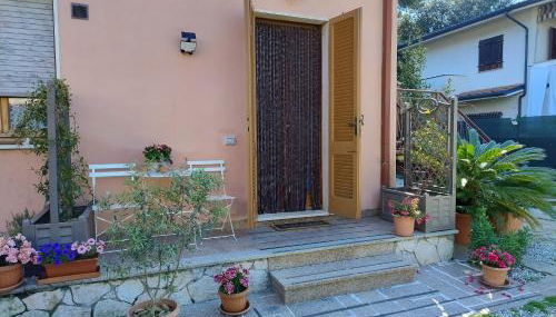 Katia's Quiet Little Apartment - Photo 3