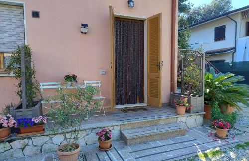 Katia's Quiet Little Apartment - Photo 3