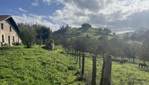 Etxetxobarri, caserío independiente con vistas a la crestería de Anboto - Foto 2