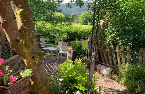 Côté Rive, au bord de la rivière La Moselotte et terrasse - Foto 14