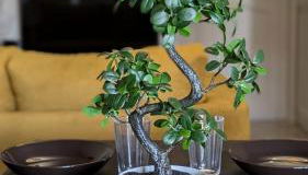 Évasion - Orly à 12 min de Paris - Foto 3