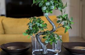 Évasion - Orly à 12 min de Paris - Foto 3