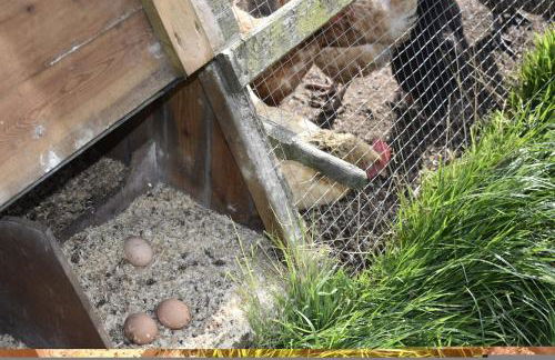 Pear Lodge - Somerset Holiday Homes - Foto 22