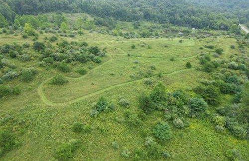 Deer Haven Cabin - Foto 39