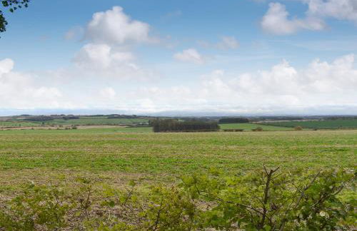 Fairlaw Garden Cottage - Photo 19