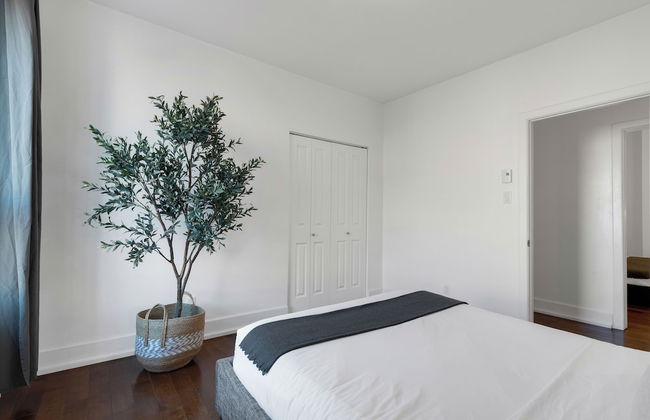 Liv MTL - Ch - Foto 12