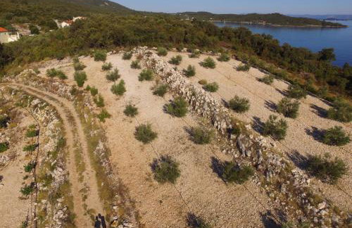 Apartment Stanisic - Foto 37